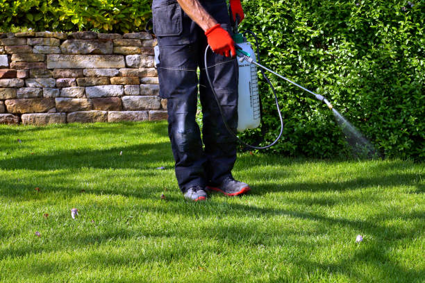 Real Estate Pest Inspections in Mendon, IL